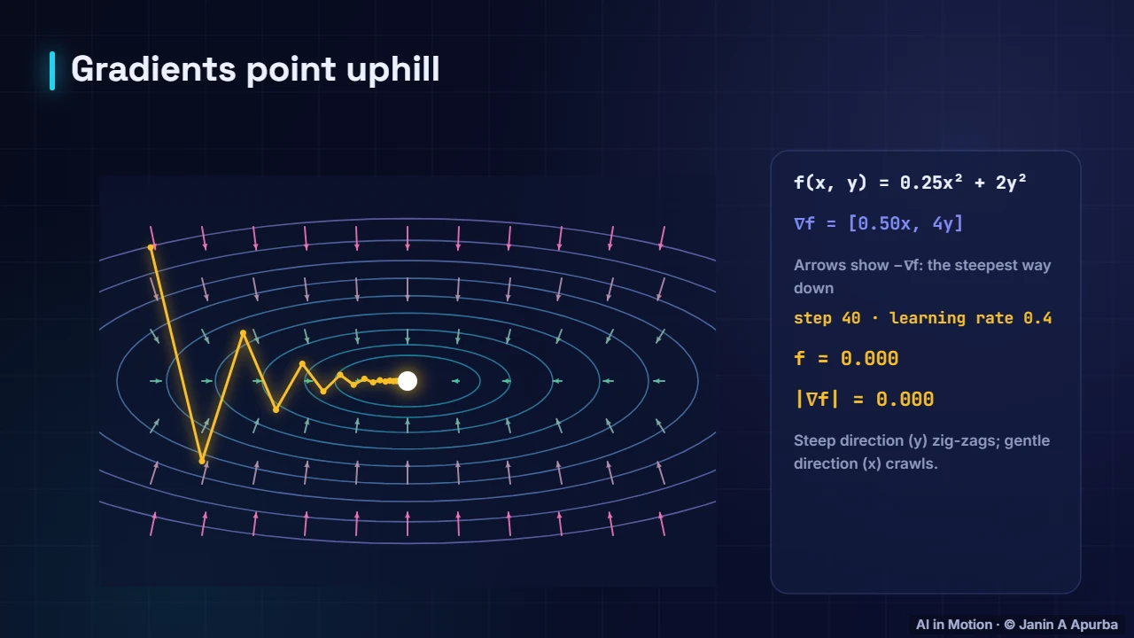 The gradient field — Calculus for Machine Learning: Derivatives, Gradients and the Chain Rule