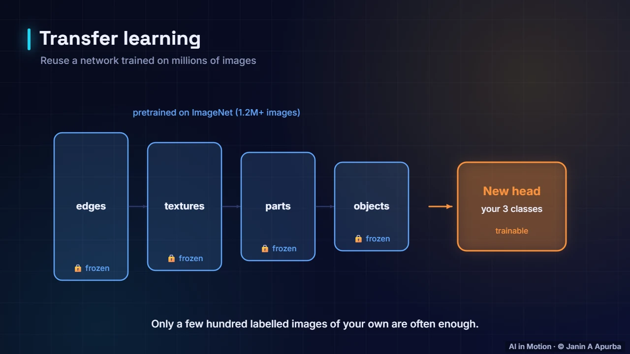 Transfer learning — Convolutional Neural Networks: A Deep Dive
