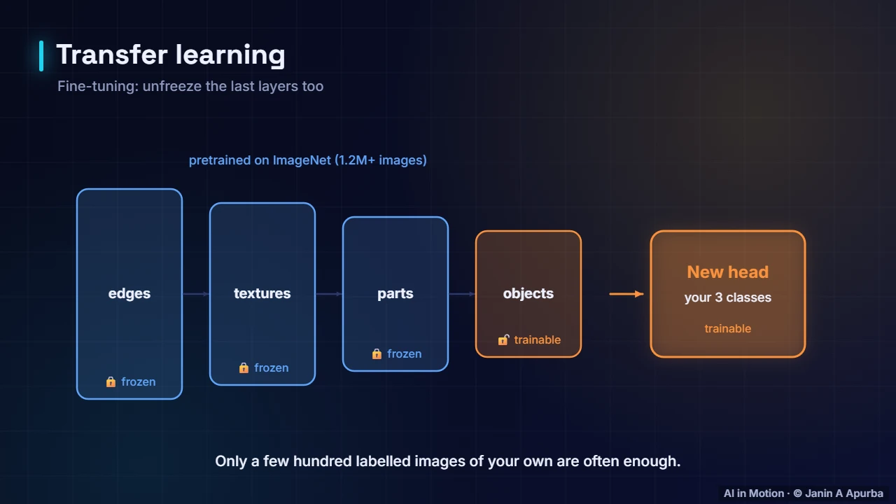 Fine-tuning — Convolutional Neural Networks: A Deep Dive