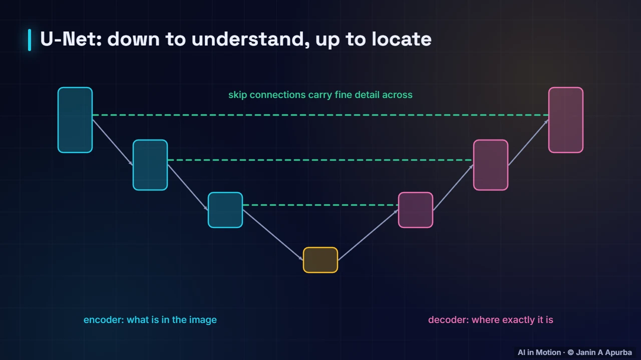 U-Net — Object Detection and Segmentation: A Deep Dive