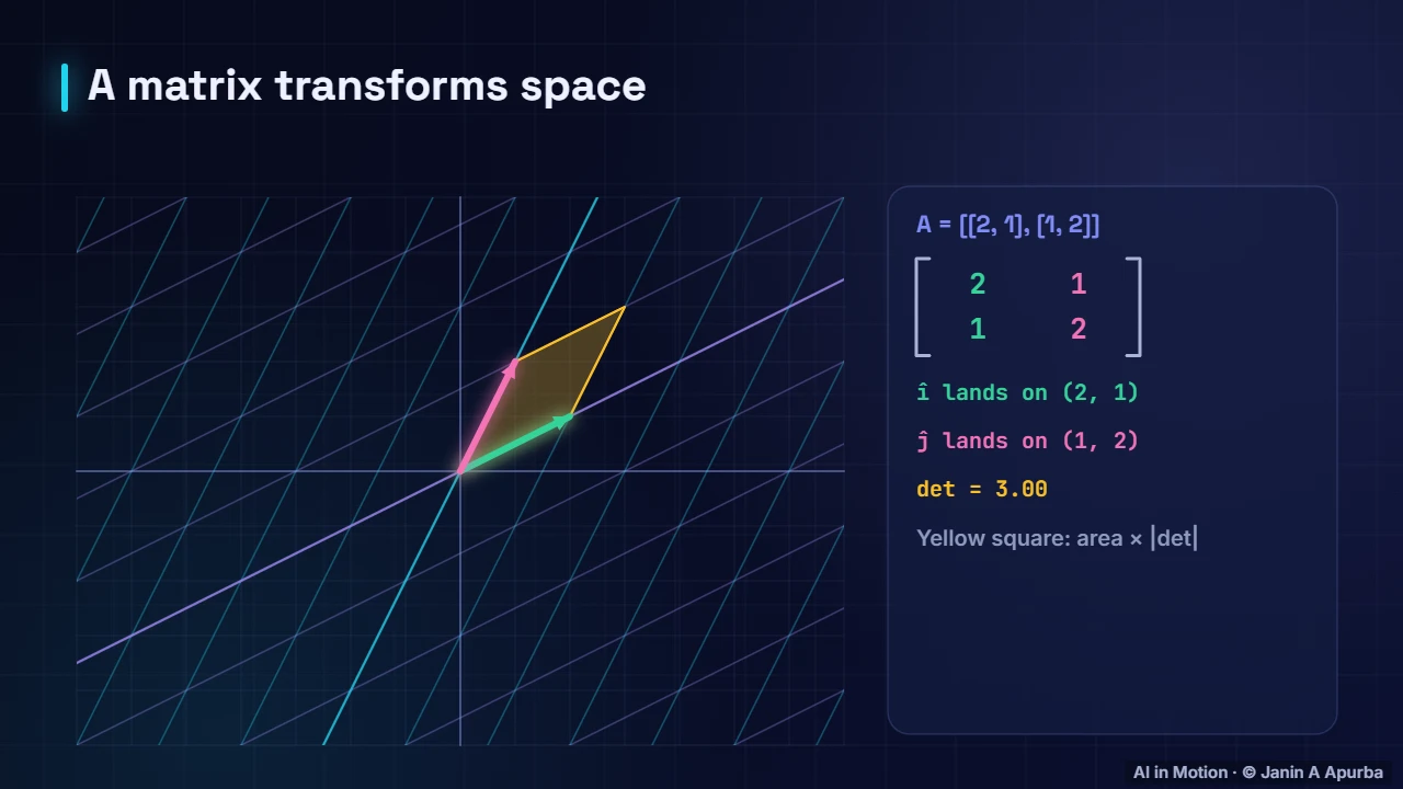 Most vectors turn — Eigenvectors, SVD and PCA