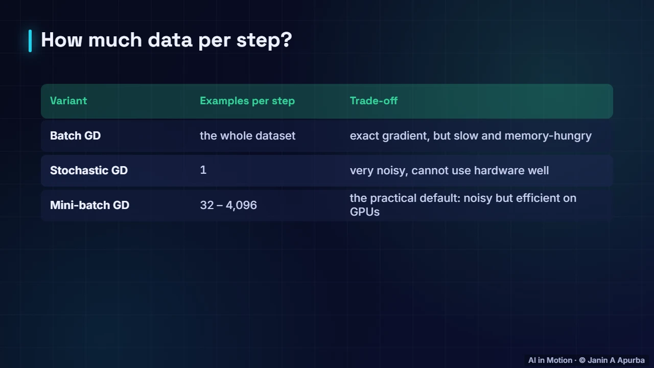 Batch sizes — Gradient Descent and Optimisation: A Deep Dive