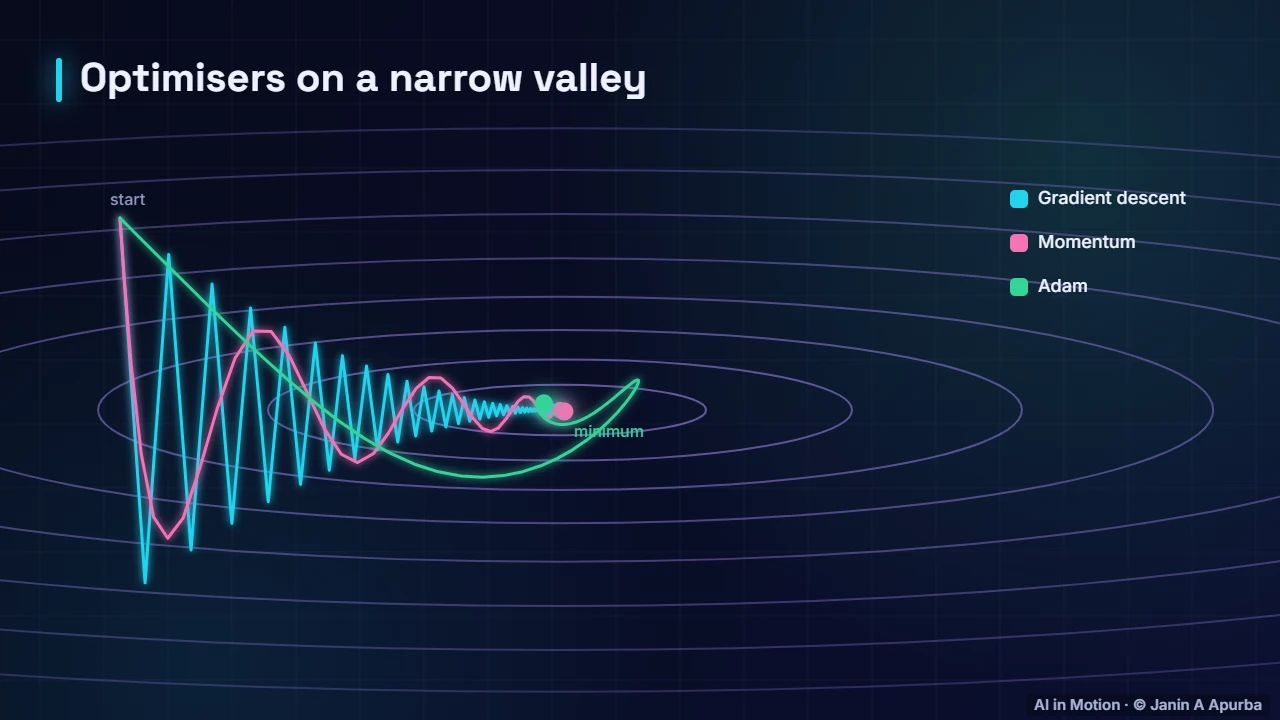 Optimisers — Gradient Descent and the Learning Rate