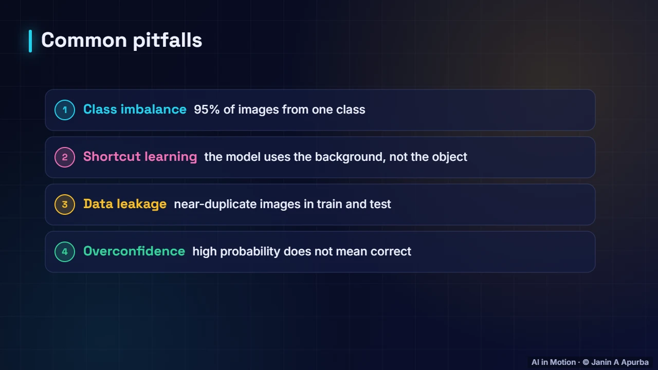 Pitfalls — Image Classification End to End