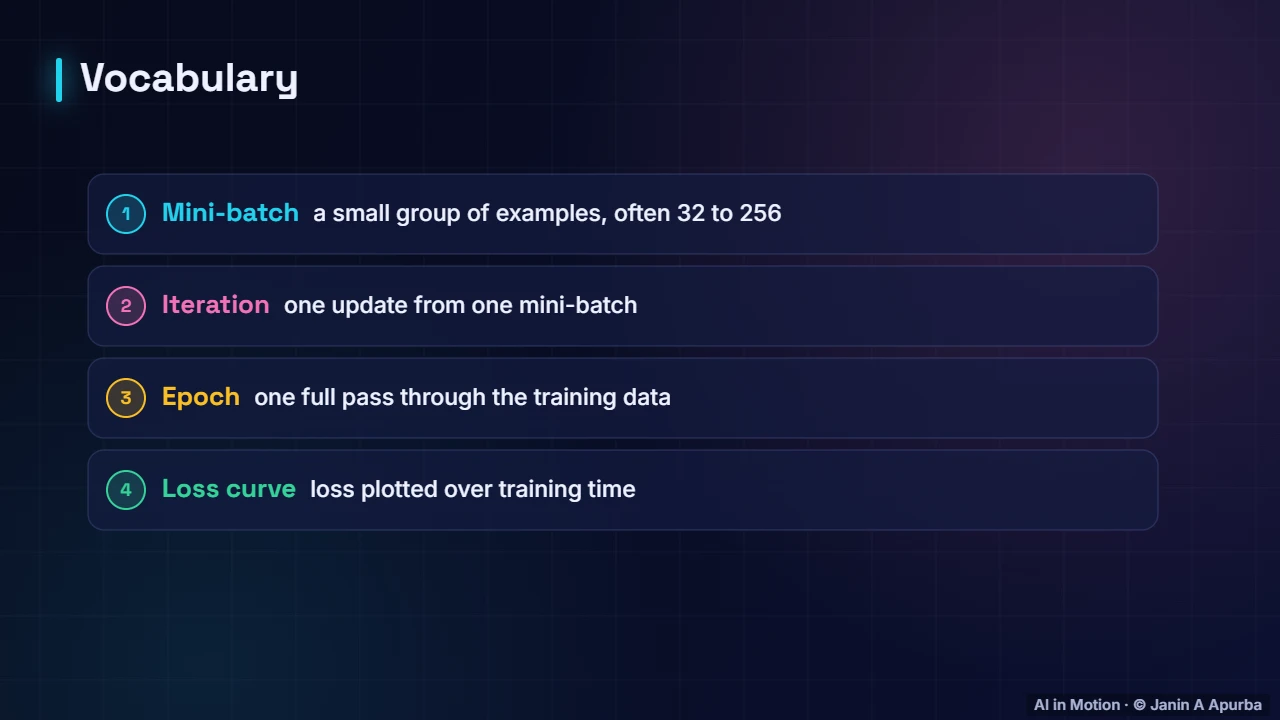 Key terms — Loss Functions and the Training Loop