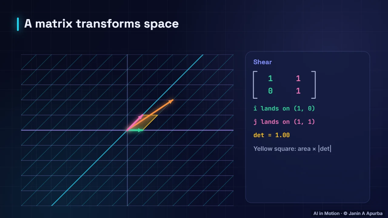 Columns are destinations — Matrices as Transformations