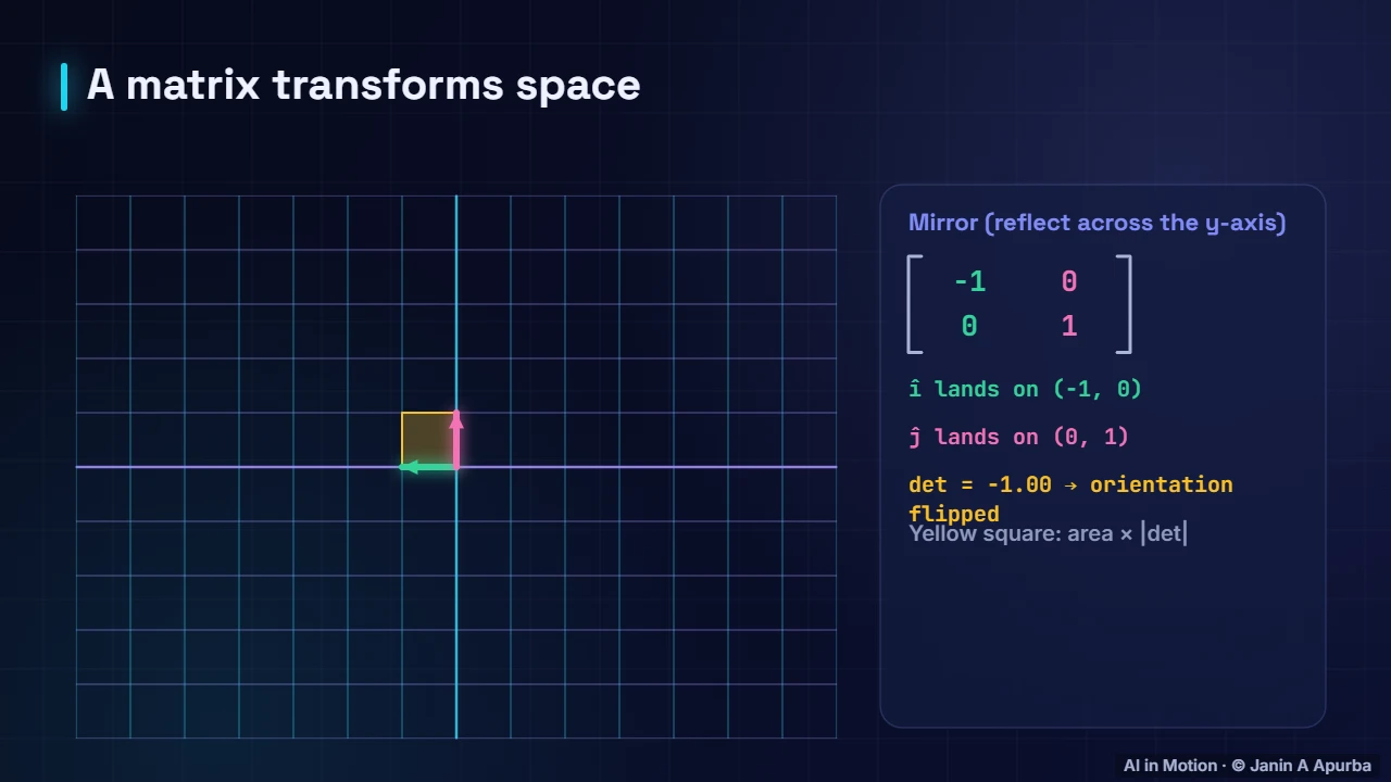 Reflection — Matrices as Transformations