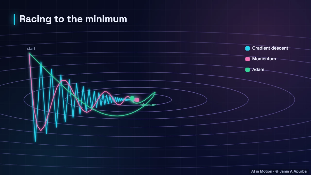 The race — Optimisers: SGD, Momentum and Adam