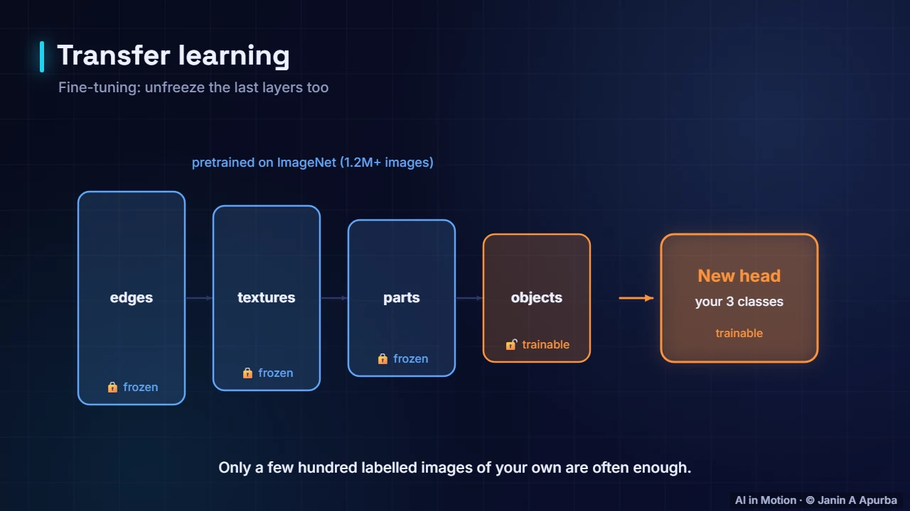 Fine-tuning — Text Classification from Start to Finish
